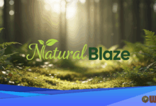 Estrogen Levels Linked to Serotonin Function